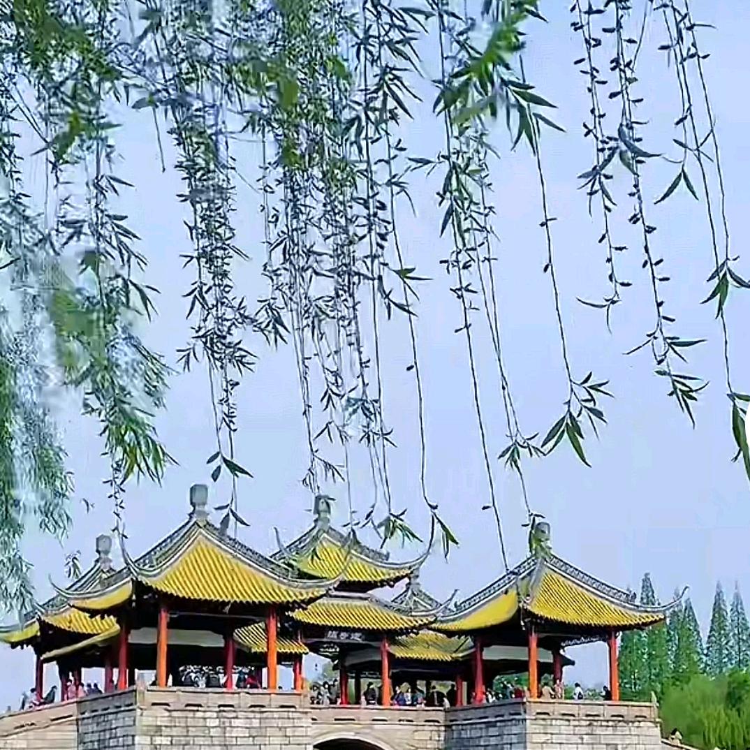 天若有情《有赞必回》