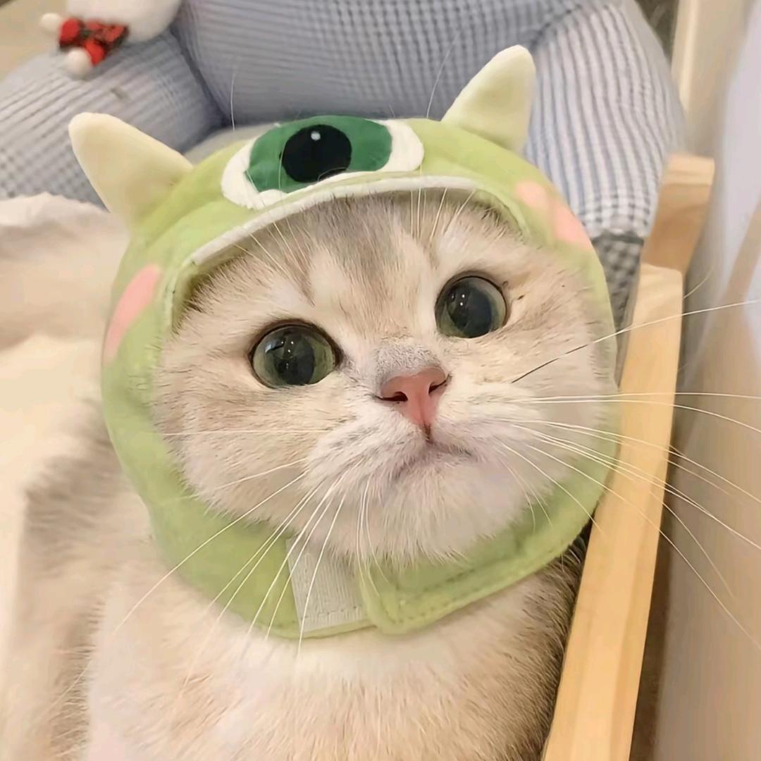 成嘟