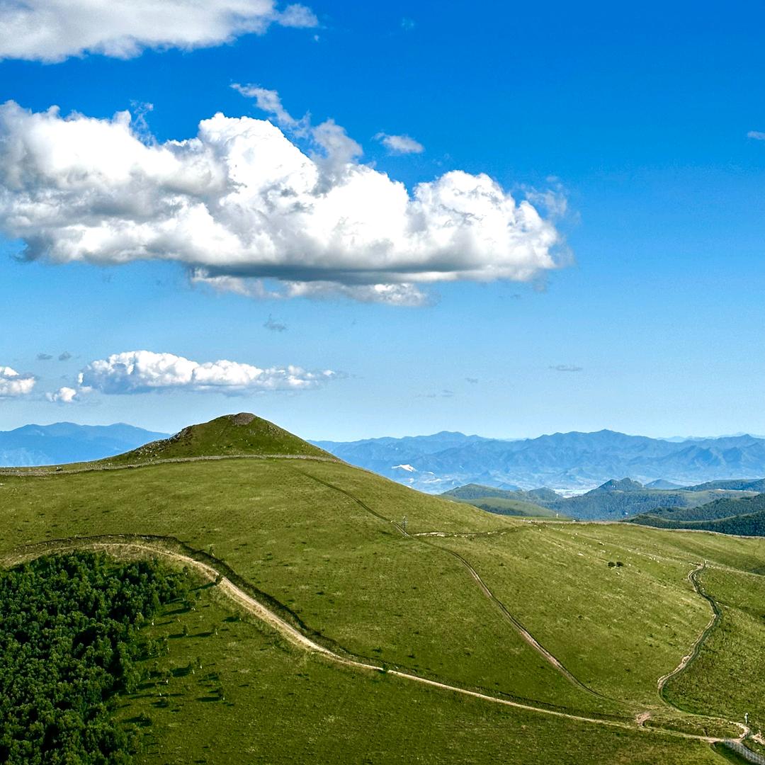 所前雅迪电动车