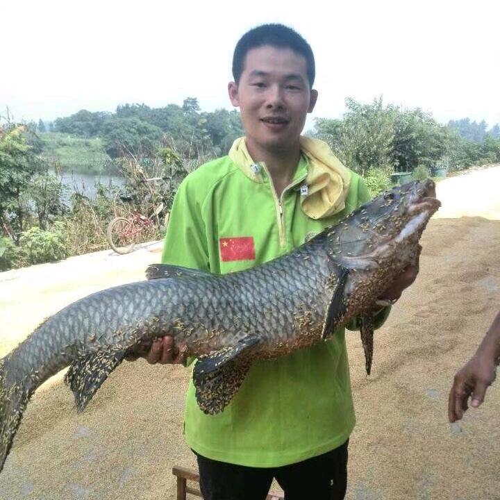亲溪庆哥