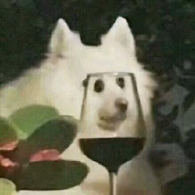 飞某人（代/陪）