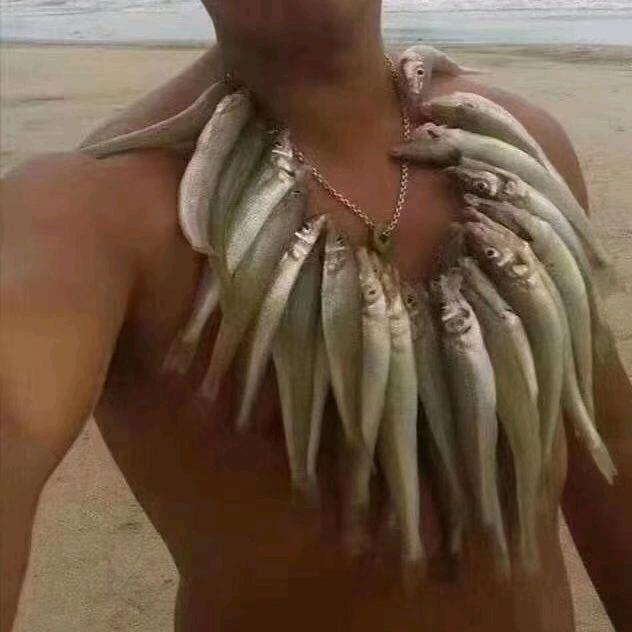 海上生物研究员