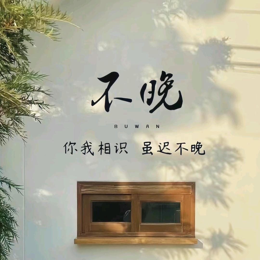 晚风中的向日葵