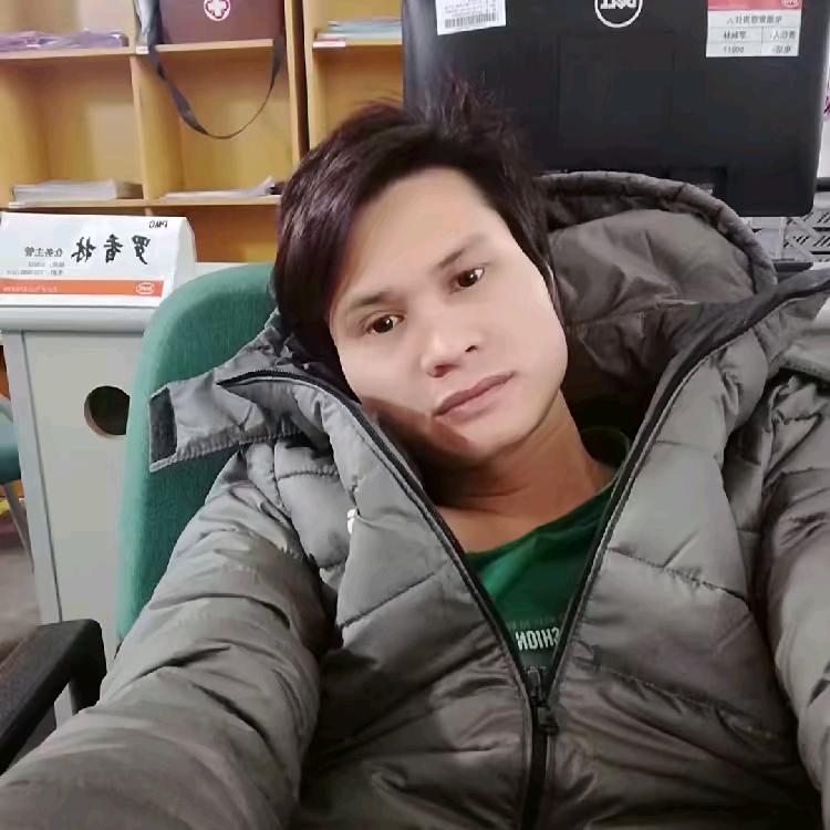 安静的海龟
