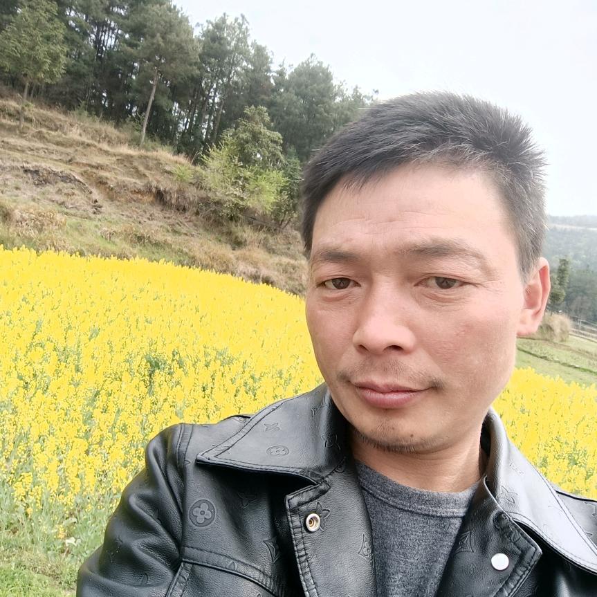 让一切随风