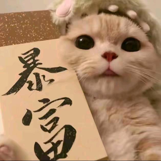 干饭人1号