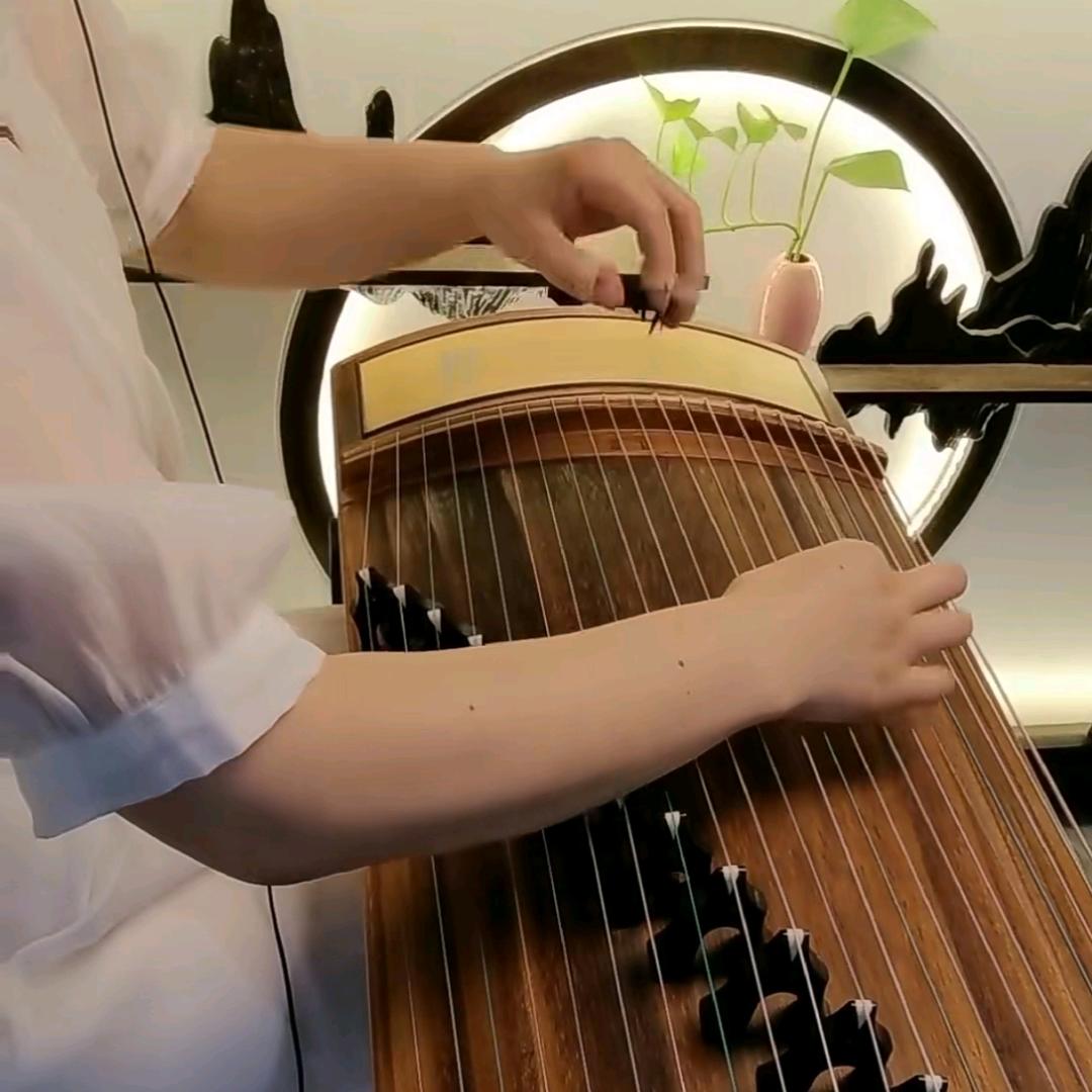 乐之韵古筝