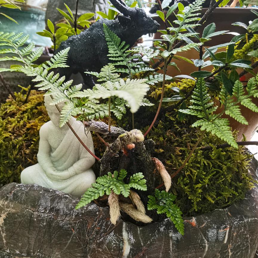 ོꦿ幸福💞♡♡