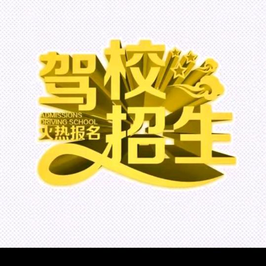 驾校教练C1，B2，