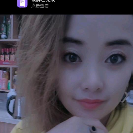 燕子的每一天