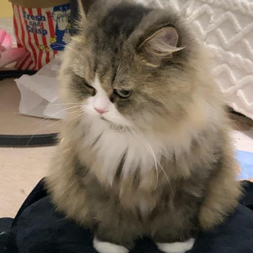 橡皮