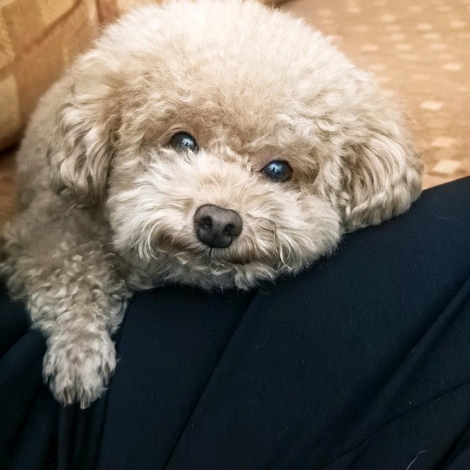 可惜我是💞摩羯座♑️