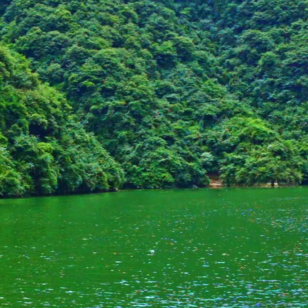 痛快淋漓泰山路