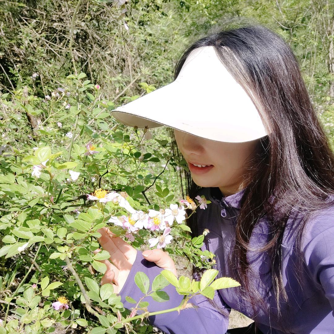 桃桃