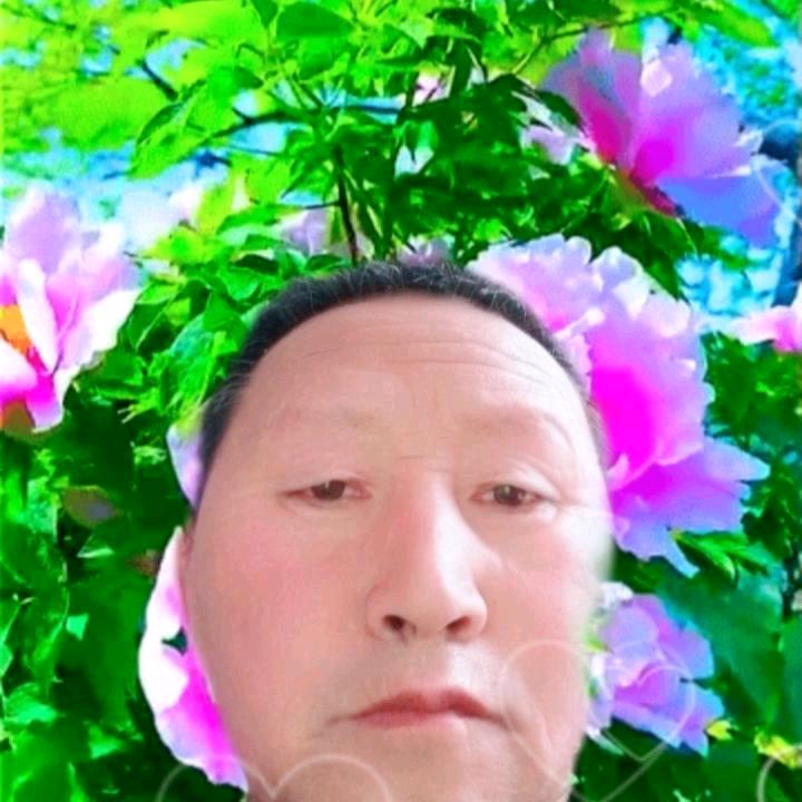 王引慈