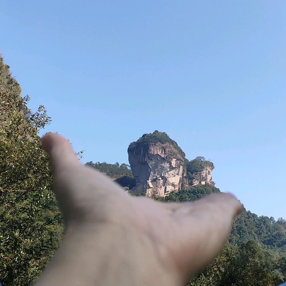 🌻🌄向日葵🌻🐠🐟