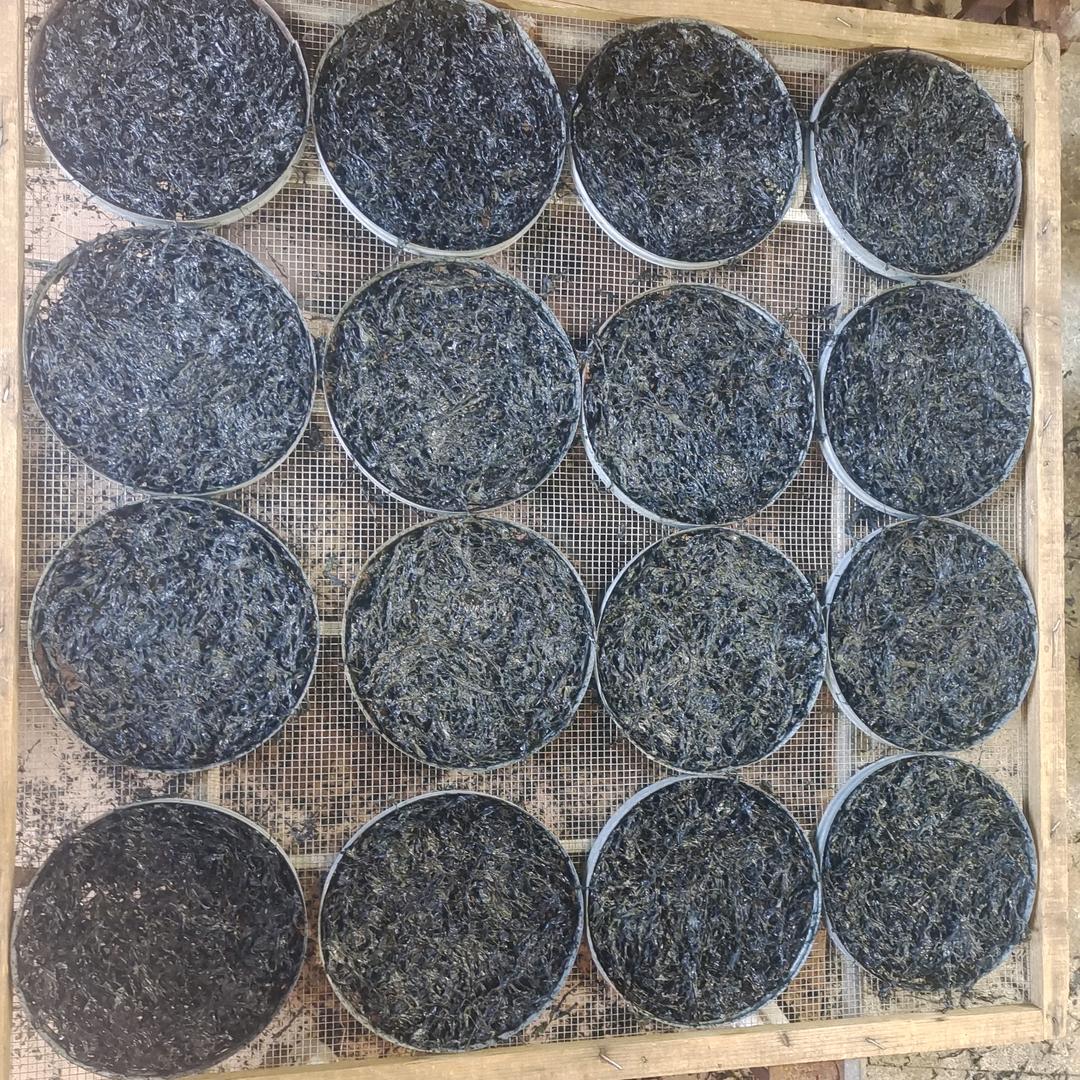 漳州市漳浦县六鳌子赛