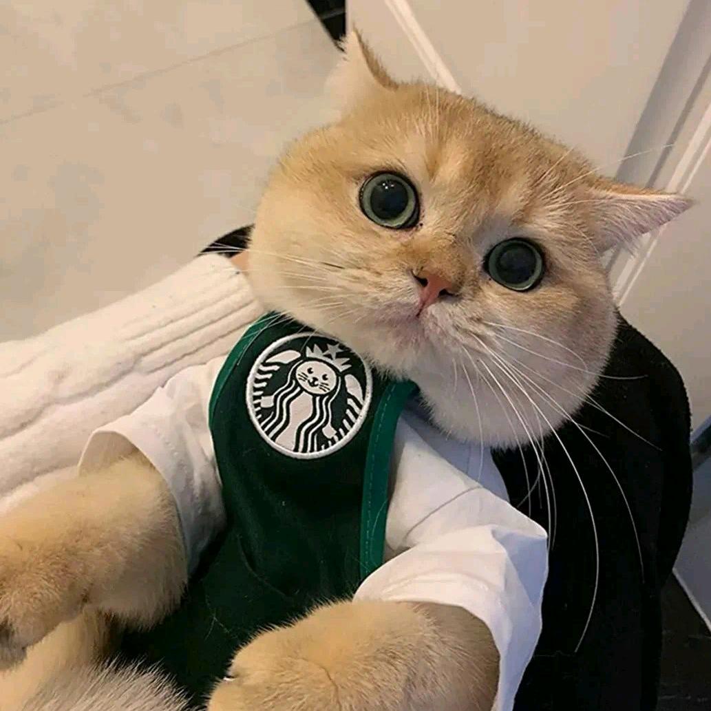 毛孩儿部落