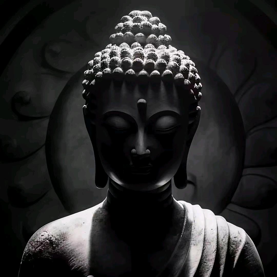 杨了个洋