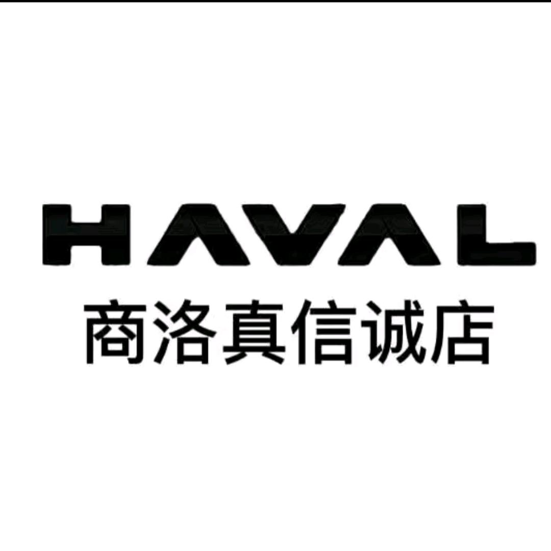 哈弗商洛真信诚4S店