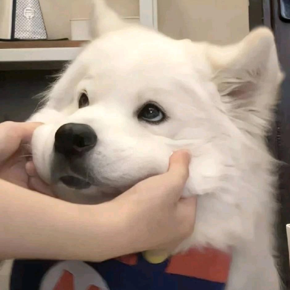 北