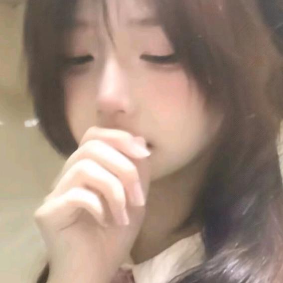 元宝🐰