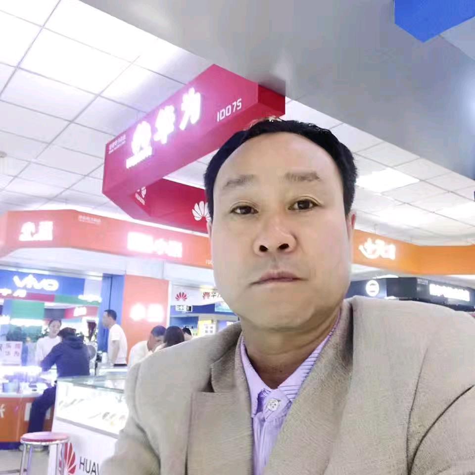 岐秦家政