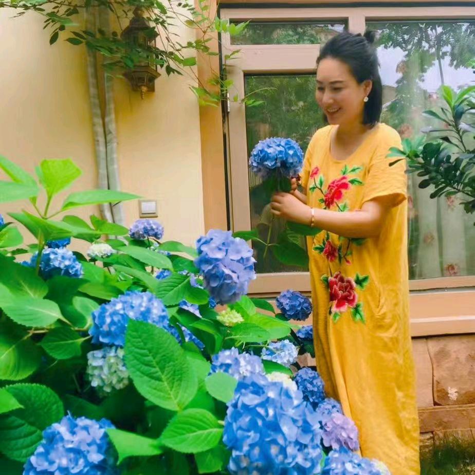 静怡花开