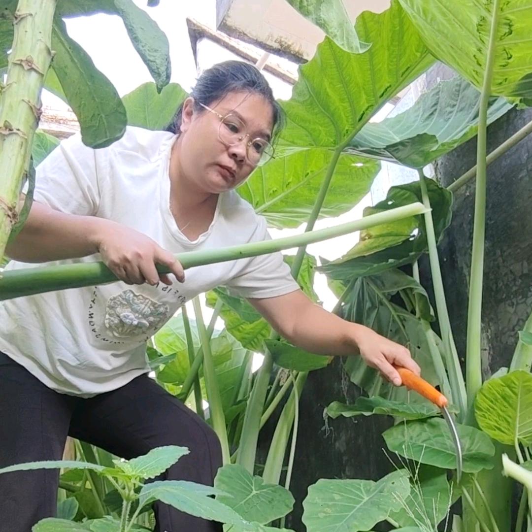 郭姐爱美食
