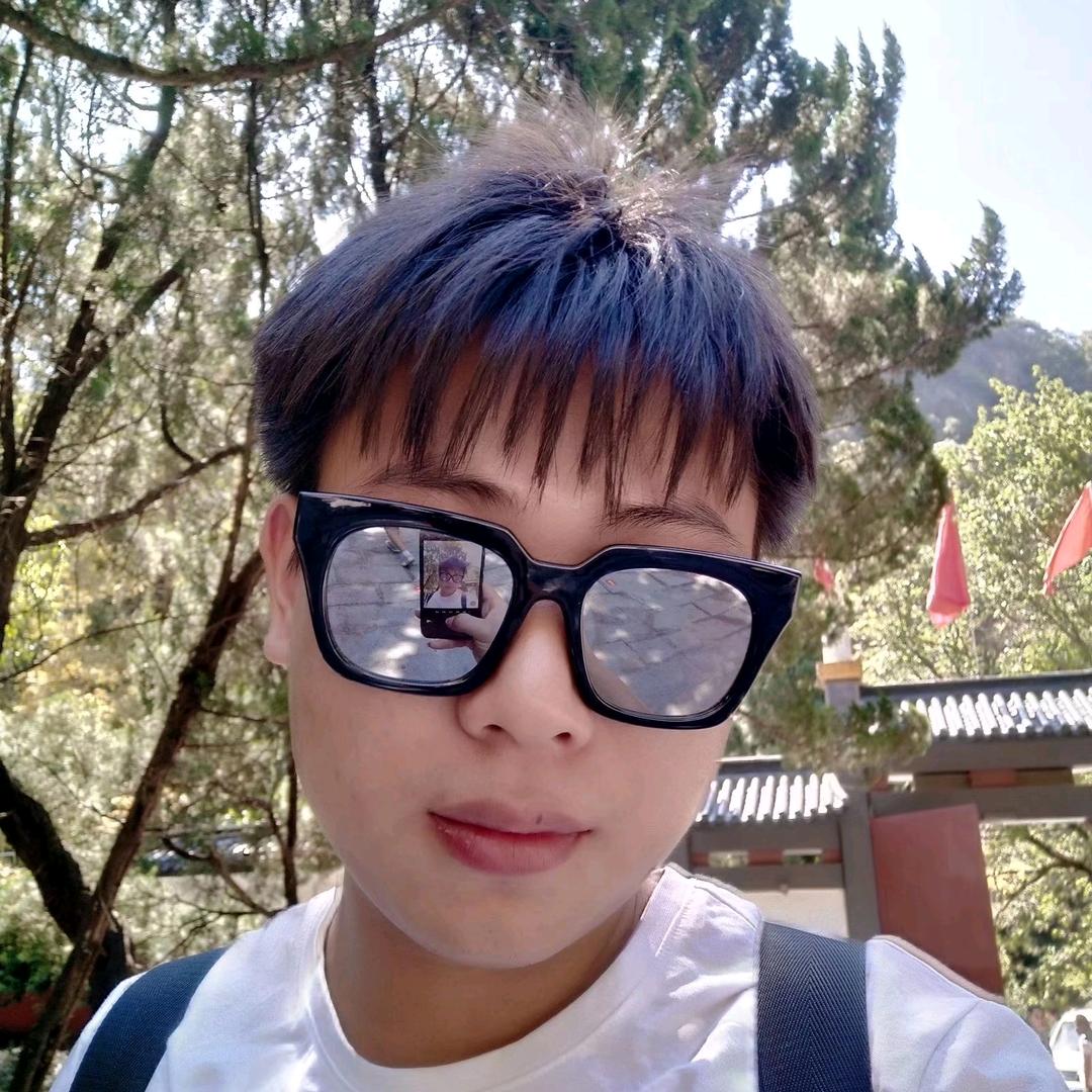 若只如初见