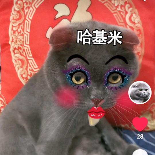 无名英雄