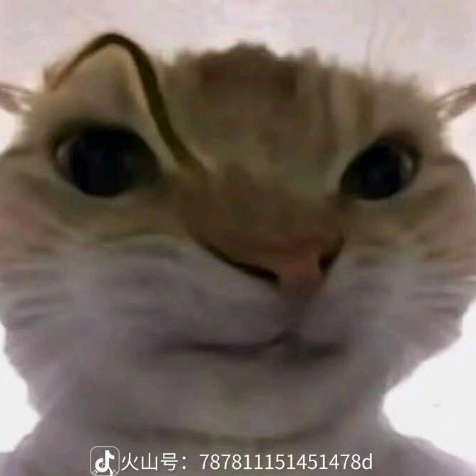 小白呀（二指战神）
