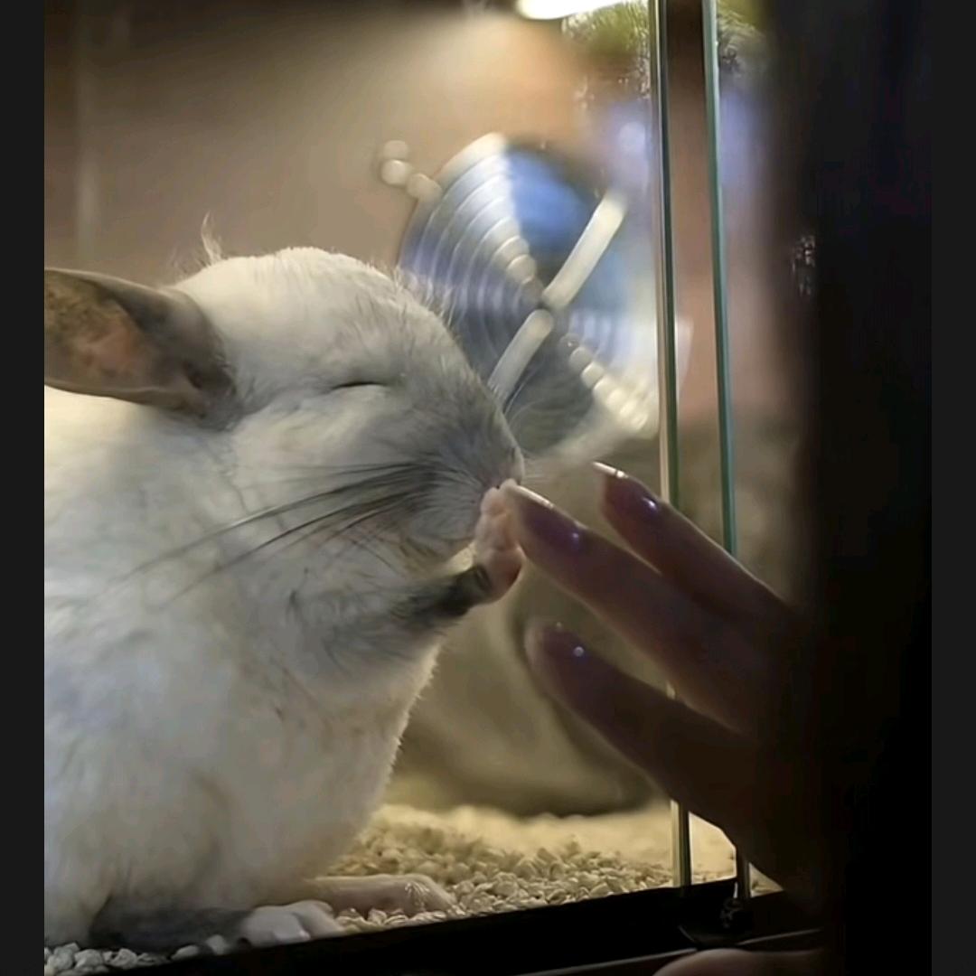 耶耶耶❀