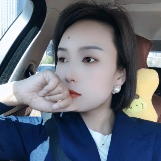 进口大众专修小石