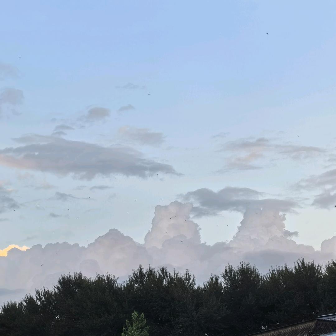 顺其自然$