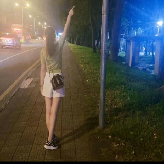 呆呆.