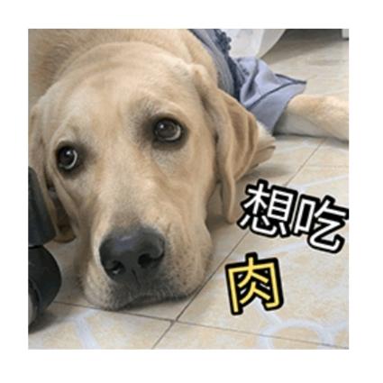 一见如故的新头像