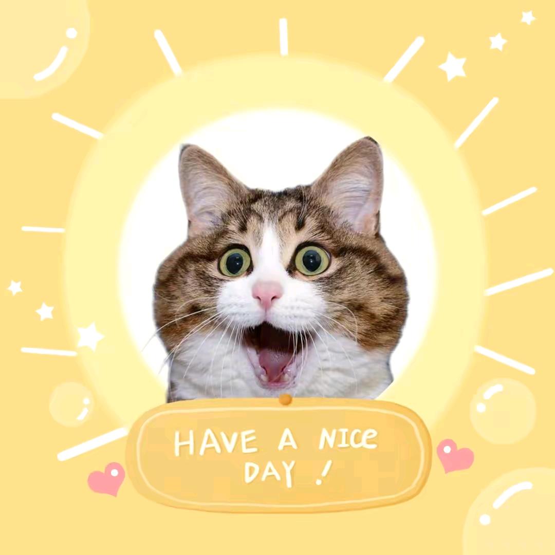 黑猫电影
