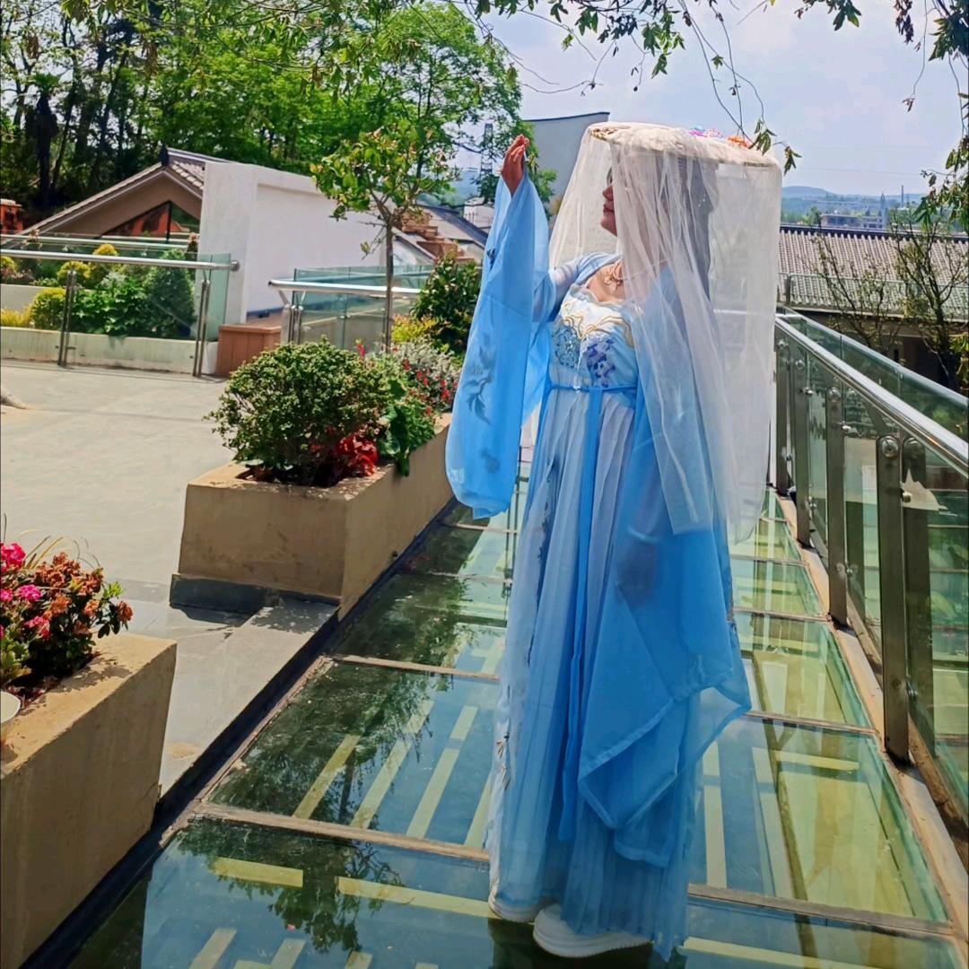 蜻蜓