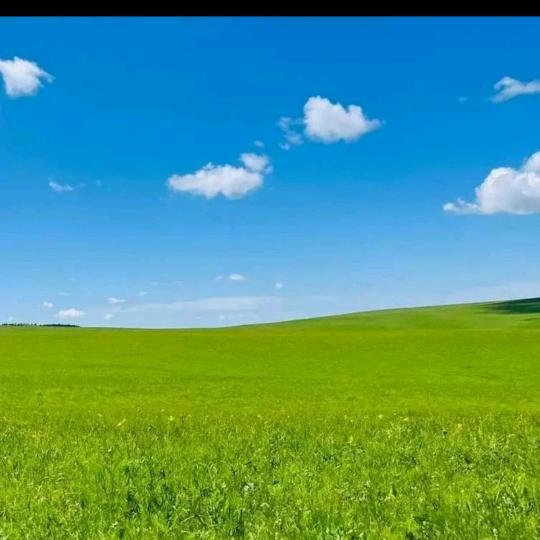 柔和是福