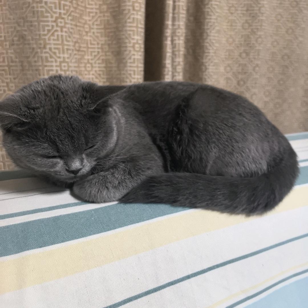 nanan