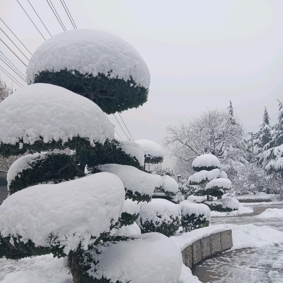 水中劳月