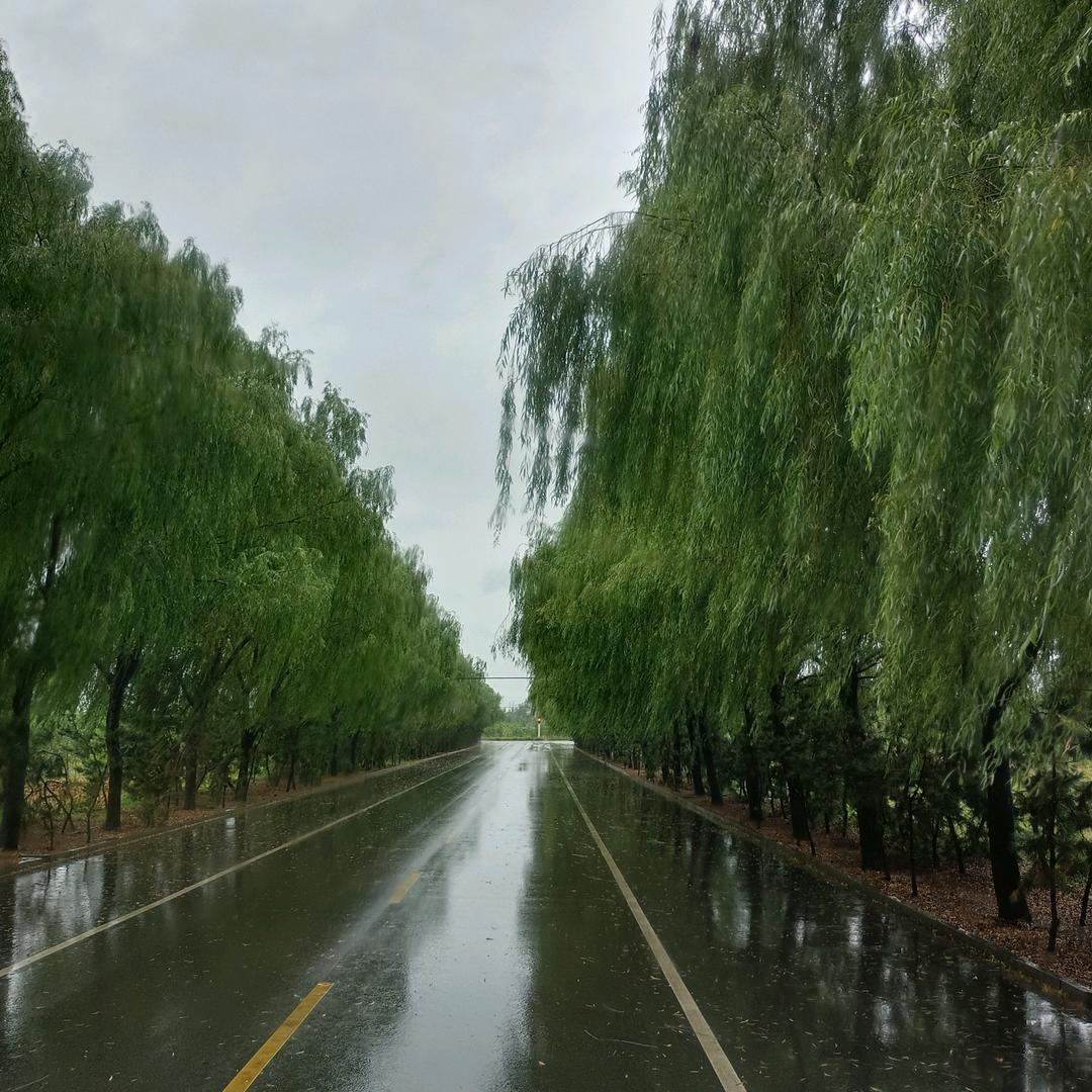 百年古韵