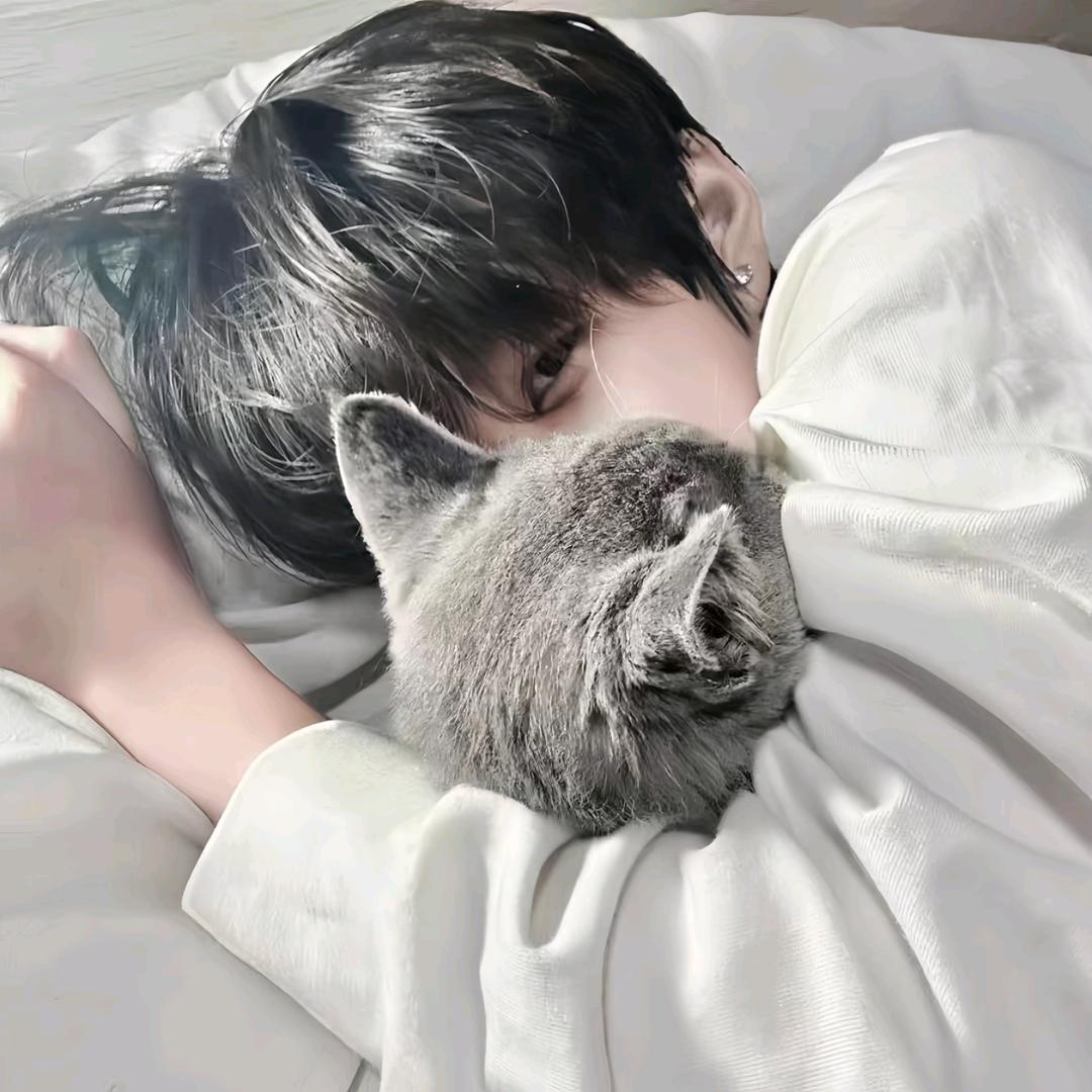 dy凡