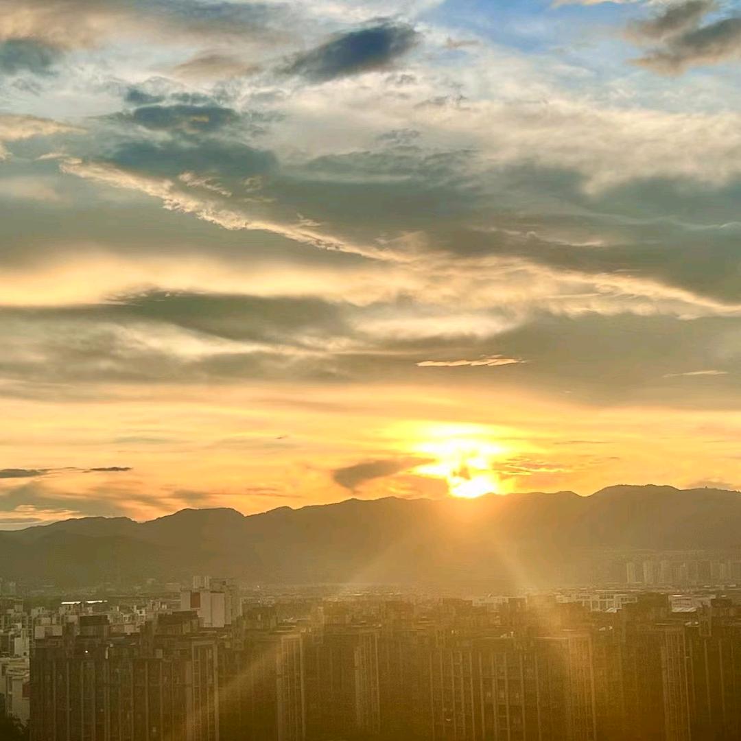 阳光灿烂👍