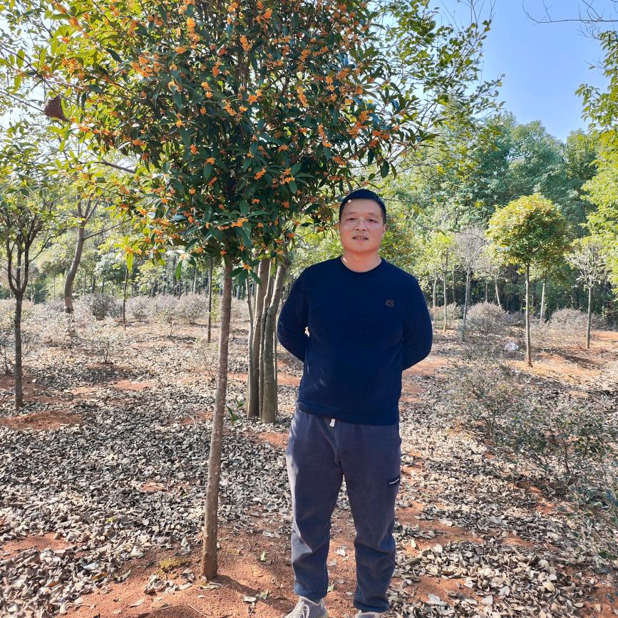 海清金桂园（赢海园林）