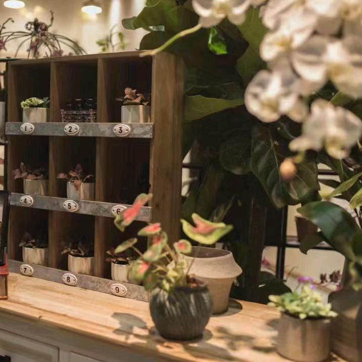 绿意花情生活