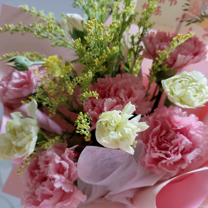 🌴💰孟☀️想🌙成🎂真💰🌴