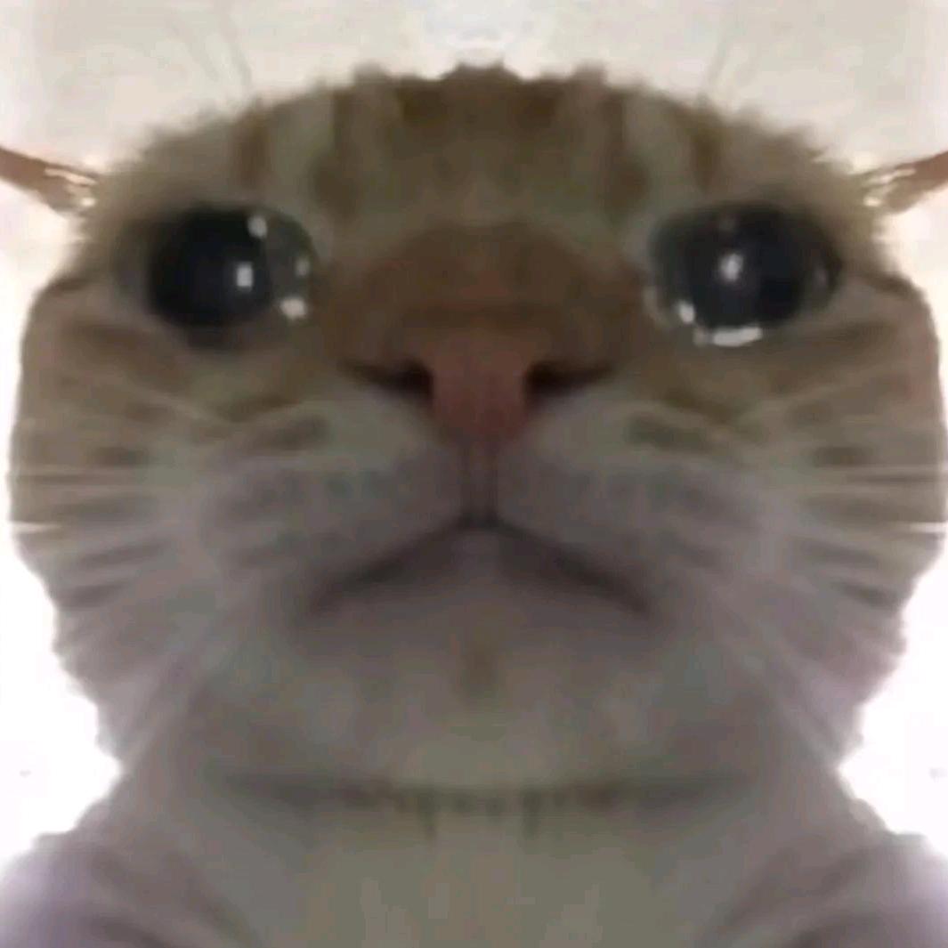 人面桃花长相忆