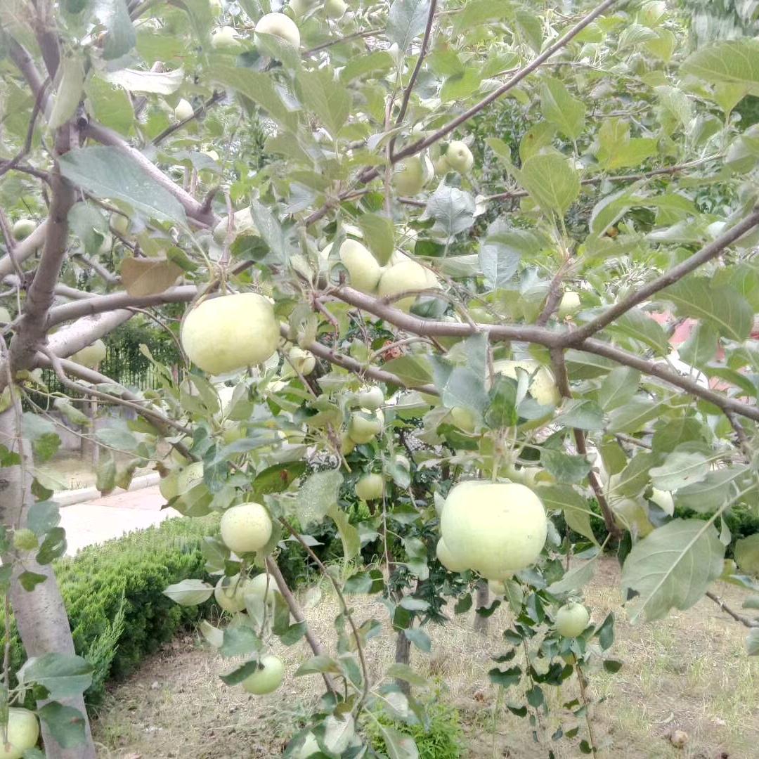 开心快乐每一天！😃😃